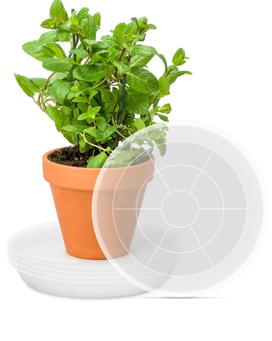 PACETAP 8 inch Plant Saucer Pot Tray 5 Pack, Heavy Duty Thickened PP Plastic Flower Planter Water Drip Trays for Indoors Outdoors Garden, Round Plastic Planter Water Catcher for Pot, Plant Dish