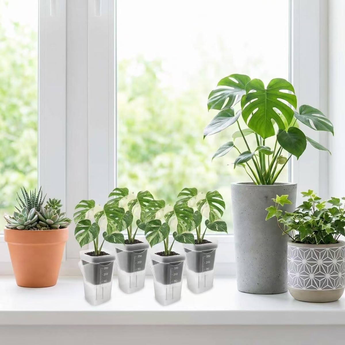 10 Pack Small Self Watering Pots for Indoor Plants, Clear Plastic Semi Hydroponic Pots for Leca, Orchids & Succulents, Small Transparent Plant Containers for Propagation, Seedling, Cutting (2 inch)