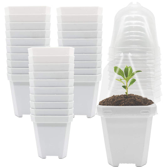 PURPLE STAR 1N 30 Packs Plant Nursery Pots with Humidity Dome, Small Gardening Pots, Square Planting Containers Cups for Succulents Seedlings Cuttings Transplanting