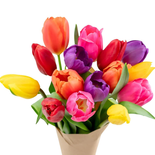 Stargazer Barn – 15 Stem Rainbow Tulips Bouquet – Mother’s Day Flowers for Mom – Fresh Flower Delivery, Farm Fresh, Hand-Tied in USA, Ready to Gift – No Vase Included