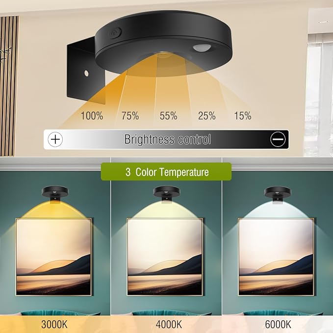 6Pack Wireless Picture Lights for Wall Rechargeable Battery Picture Frame Light with Remote LED Magnetic Art Display Light Dimmable&Timer Wall Sconce for Painting Poster Artwork Home Lighting Decor