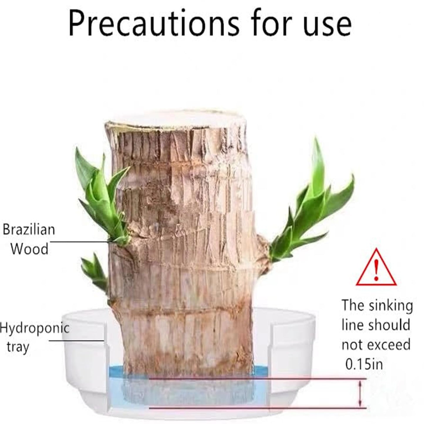 Brazilian Lucky Wood Plant,Brazilian Wood Doesn't Need to Wait to Sprout, Natural Air Cleaner, Suitable for Home Office Desk Decor (Dark Gray)