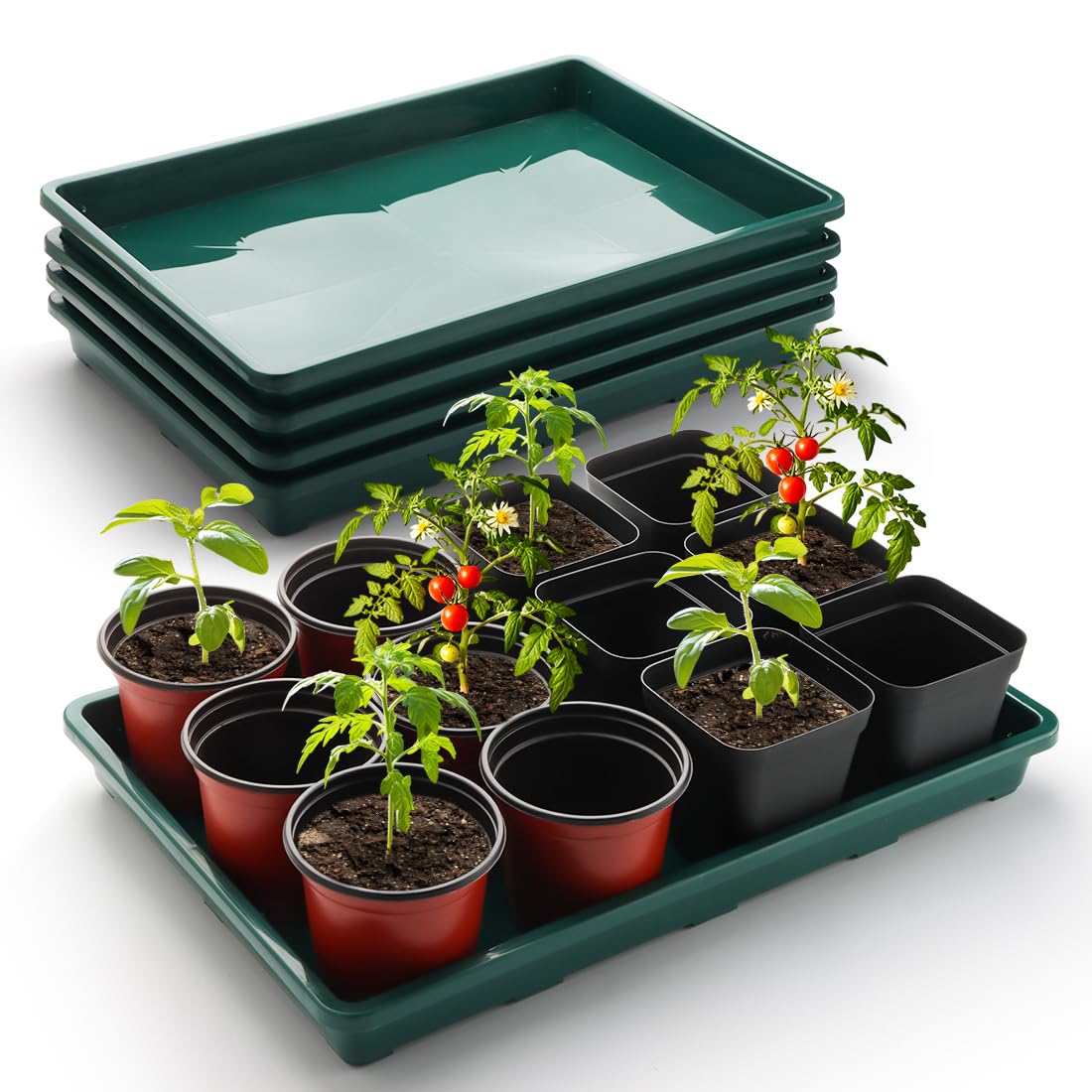 RooTrimmer 5 Pack Seed Starter Trays (17"x11"x2"), Plastic Flat Nursery Pots Trays, Durable Carrying Seedling Starter Tray, Reusable Tray for Planting and Collecting Drainage Water (Green)