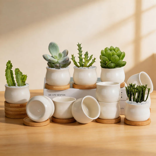 ZOUTOG 12 Pack Succulent Pots, 2.6 Inch Mini Ceramic Pots for Flower or Cactus Plants with Drainage Hole,Plants Not Included