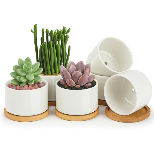ZOUTOG Ceramic Succulent Pots,3.6 Inch Plant Pots,Succulent Planters with Drainage Hole & Bamboo Tray for Indoor Plants,White Small Flower Planters for Home,Office,Desk(6 Pack)