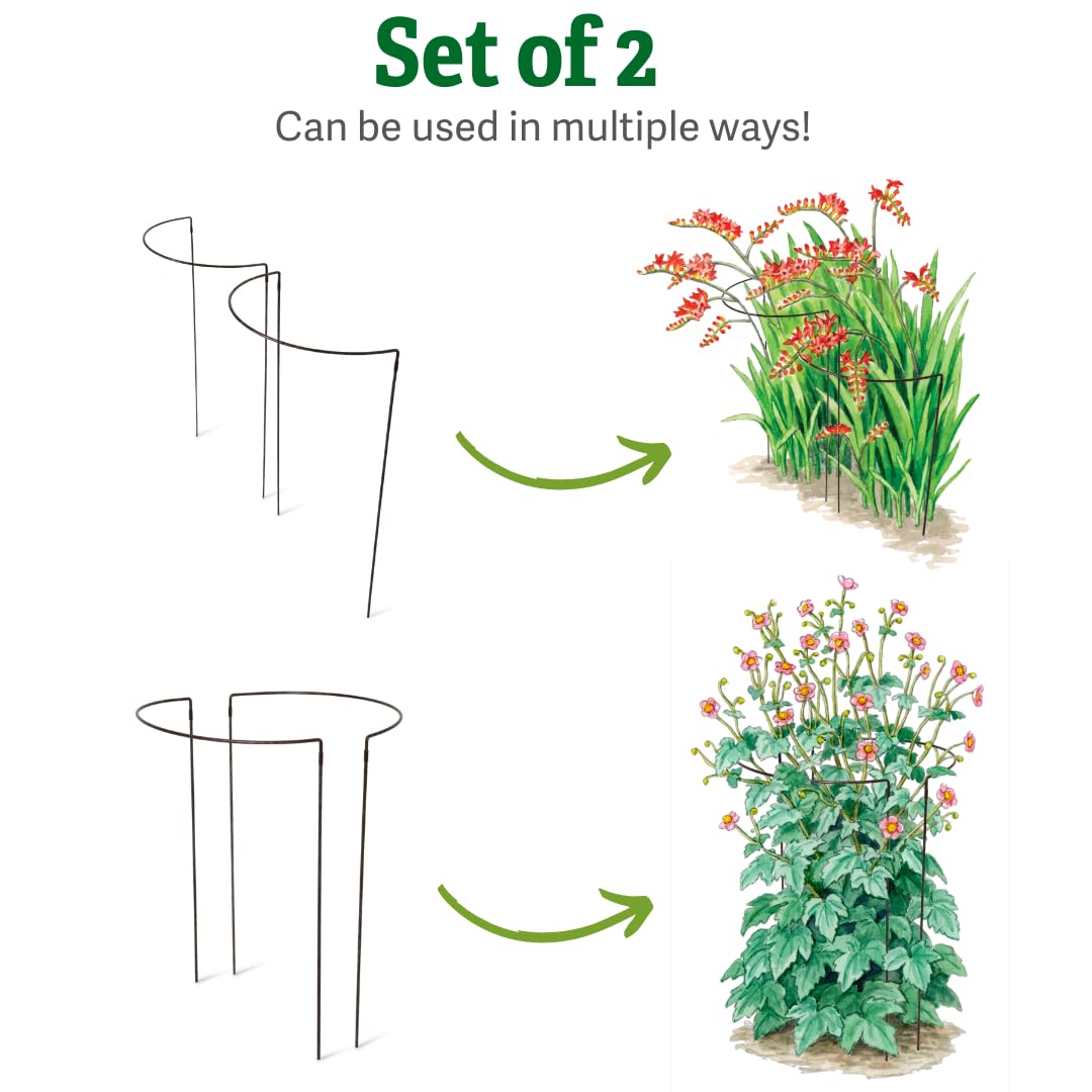 Gardener's Supply Company Jardin Half Round Metal Garden Plant Stakes | Sturdy Powder Coated Metal Outdoor Garden Plant Support Ring Border for Tomatoes, Flowers & Other Plants | 18" x 35" - Set of 2
