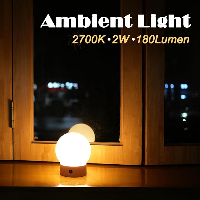 Small Cute Cordless Table Lamp Rechargeable, Battery Operated Shower Lamp Waterproof, Touch Dimmable Globe Ambient Light for Outdoor/Bedside/Patio/Dining (Black)