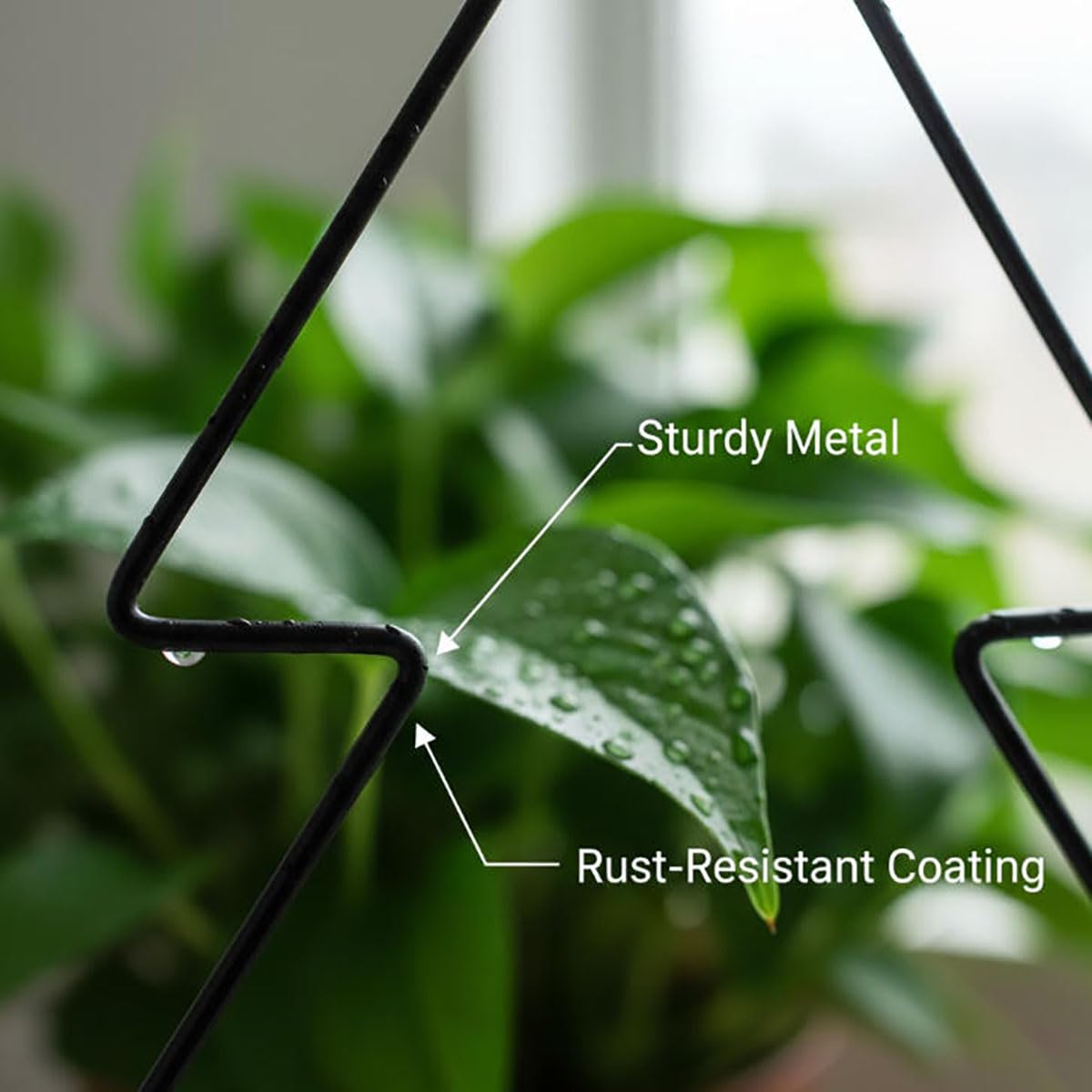 Metal Garden Trellis for Climbing Plants, 2 Pack Plant Support for Potted Plants Indoor & Outdoor, Black Iron Trellis with 20 Ties for Ivy Pothos Vines
