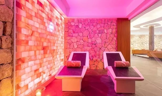 Himalayan Pink Salt Bricks and Salt Glue 8"x4"x2" 50-Pack for Walls, Sauna, Spa, Home Wall Decor improvement (Pack of 50 Bricks + 2 Glue)