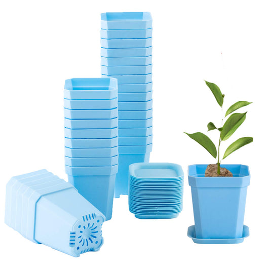 foxany 3" Plants Nursery Pot, 30 Pcs Thick Plastic Square Flower Planting Pots, Plant Seedling Pots, 30 Seed Starting Pots with 30 Saucers -Blue