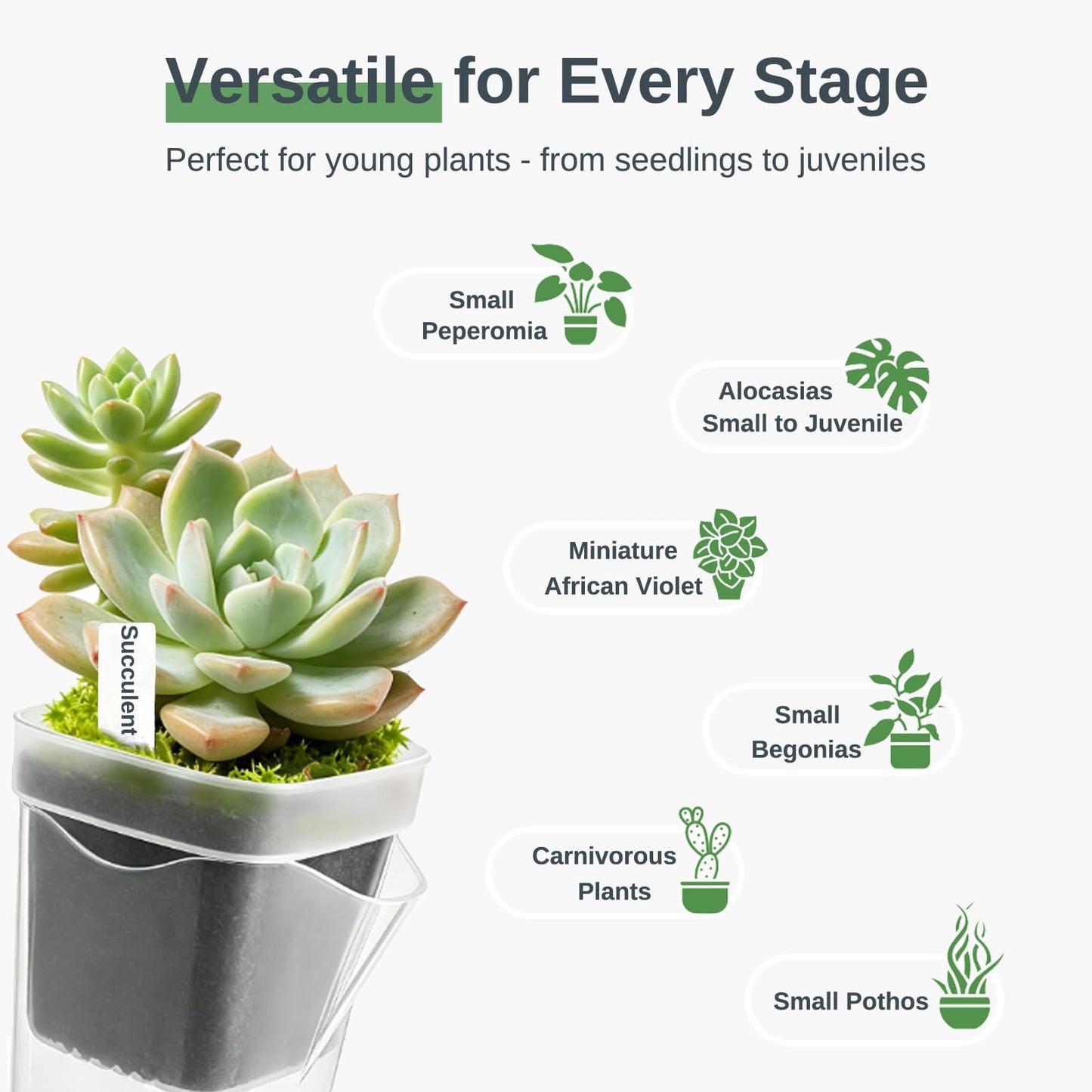 Poutilor 2.5 Inch Self Watering Pots, Clear Nursery Pots with Drainage Holes & Visible Water Level, 6 Pack Seed Starter Pots for Seedlings, Cuttings, Succulents, Prevent Overwatering