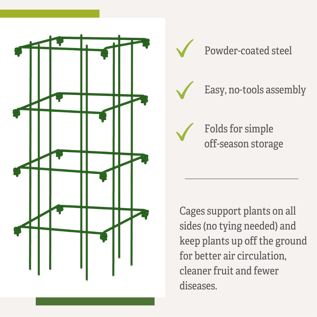 Gardeners Supply Company Pepper and Eggplant Cages Plant Stand | Heavy Gauge Sturdy Garden Plants Support for Eggplants Peppers and Other Climbing Plants | No Assembly Needed | Green 24"H (Set of 3)