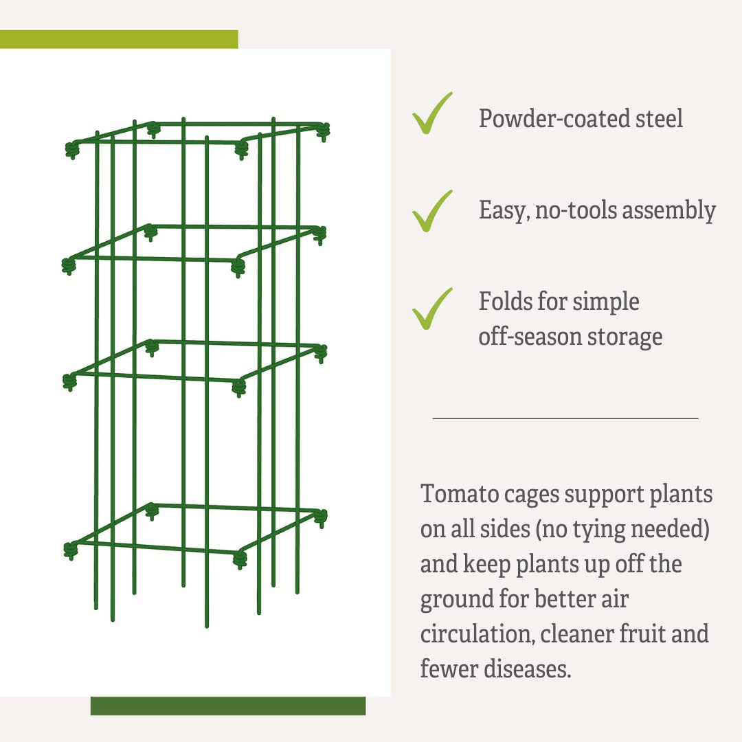 Gardener’s Supply Company Lifetime Tomato Cages | Heavy Gauge Sturdy Garden Plant Supports for Vegetables and Other Climbing Plants | No Assembly Needed - Green (Set of 4)