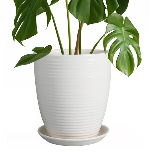 EPFamily 8 Inch Ceramic Planter Pot Round Plant Pot with Drainage Hole and Saucer Modern Flower Pot for Indoor Outdoor Plants White