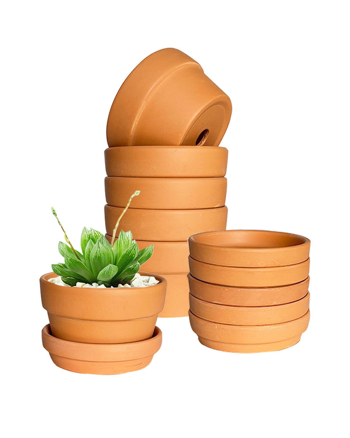 3.7 Inch Shallow Terracotta Plant Pots - 6 Pack Mini Clay Flowerpot with Drainage Hole, Terra Cotta Succulent Pot for Indoor Outdoor Plants