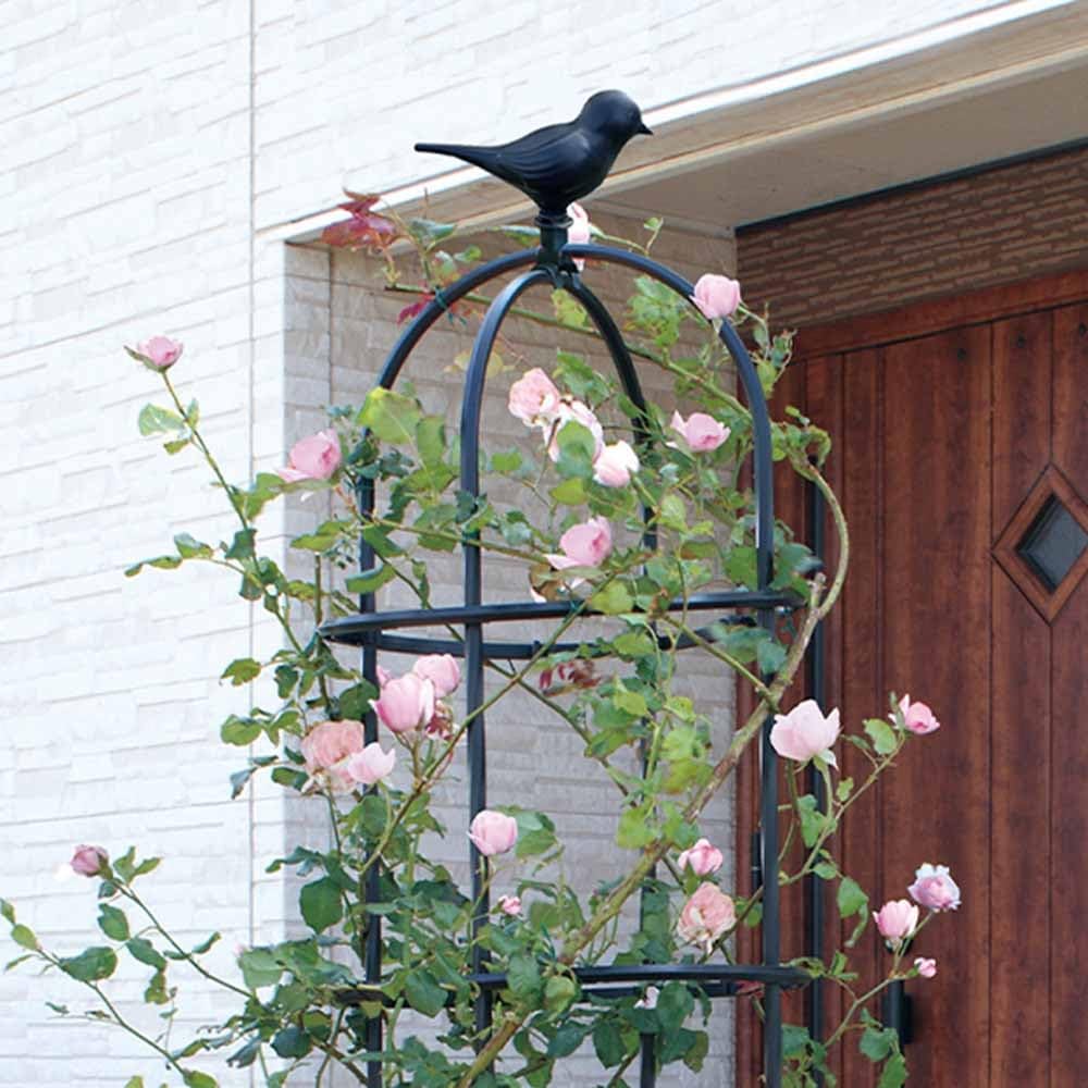 Garden Trellis Outdoor Obelisk for Climbing Plants 25" 33" 45" 57" 69" 81" Vine Supports Flowers Stands for Potted Vines Rose Cucumber(Black,36x125cm/14.2x49in)