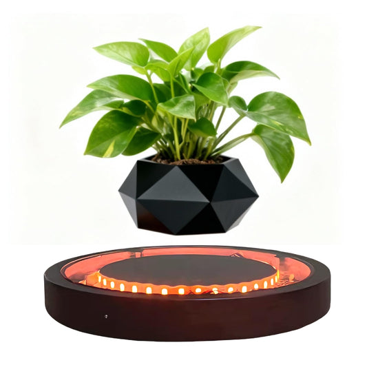 MOOCCI Magnetic Levitation Lamp, Floating Plant Pot with Glowing Base for Home Decor, Creates Romantic Ambiance, Modern Nightstand Lamp and Thoughtful Gift for Lover (Black)