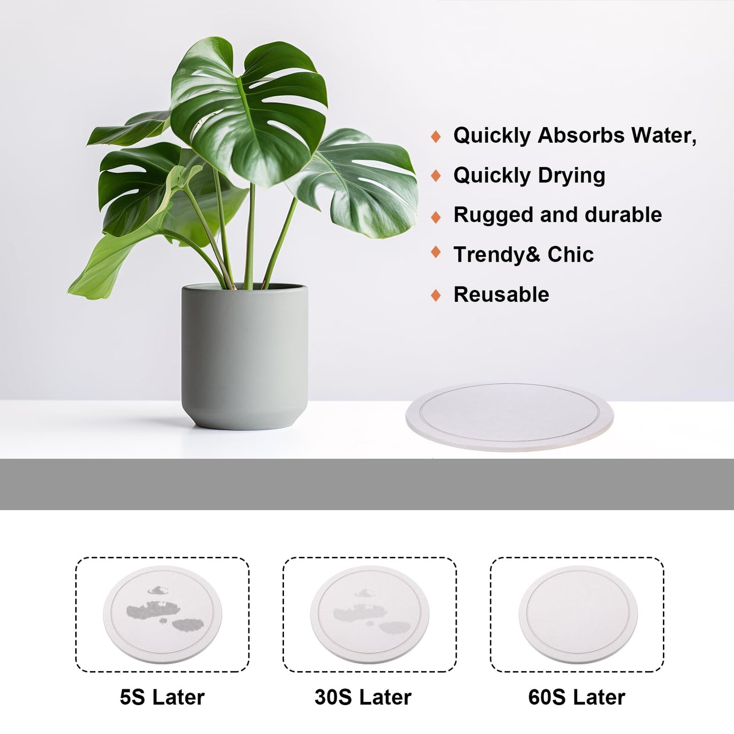 Drydiet 3 Pack Diatomaceous Earth Plant Saucer Set 6/8/10 Inch Quick Dry Absorbent Plants Tray Absorbing Plant Tray for Gardening Indoor Outdoor Plants(Gray White)