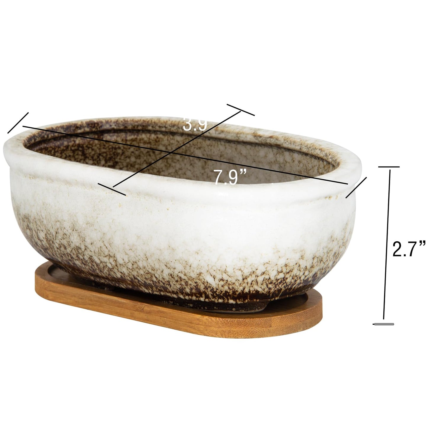ARTKETTY Succulent Pots, 7.9'' Large Ceramic Pots for Indoor Cactus Plants, Shallow Succulent Planters with Drainage Tray, Oval Bonsai Plant Container Bowl Garden Home Windowsill Decor
