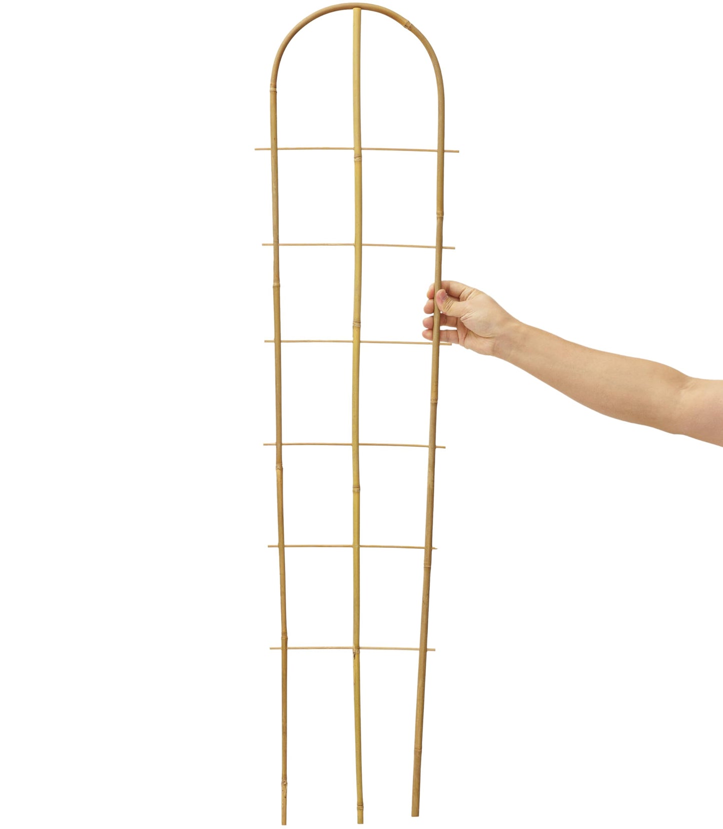 Taoskai 3 Pack 4 Feet U-Shape Bamboo Trellis, Natural Garden Bamboo Trellis for Climbing Plants, Vegetables, Cucumber, Tomato, Outdoor and Indoor Potted Plants