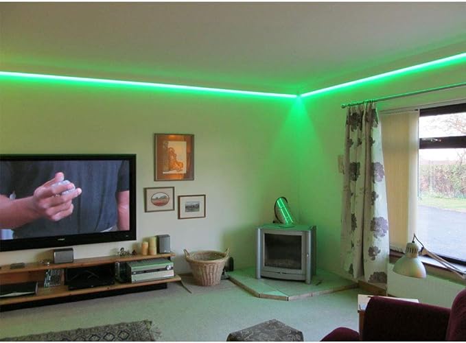 65FT/Roll 60LEDs/M 24V 5050 IP67 Waterproof RGB LED Flexible Strip Light w/Bluetooth Remote & Controller(Waterproof) and Power Supply(Waterproof)