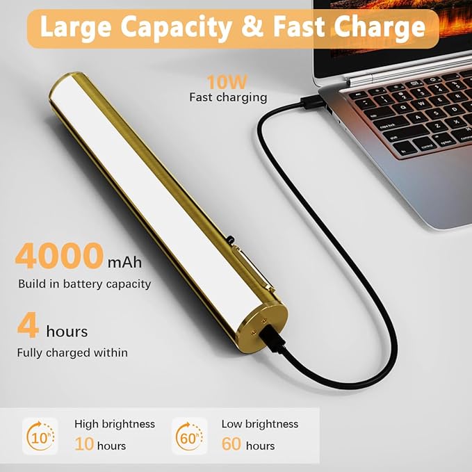 Wireless Rechargeable Picture Lights for Wall, Battery Operated Art Sconce with Remote Control, Magnetic LED Picture Frame Lamp for Painting Mirror Portrait Gallery Dart Board Indoor - Antique Brass
