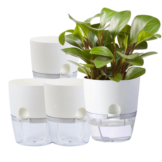 Thorkok 6Inch Self Watering Planter Pots 4 Pack Plant Pot for Indoor Wicking Flower Pots Plant Pots Modern Decorative Planter for Small African Violets House Plants,Herbs,Indoor Outdoor Plant (White)