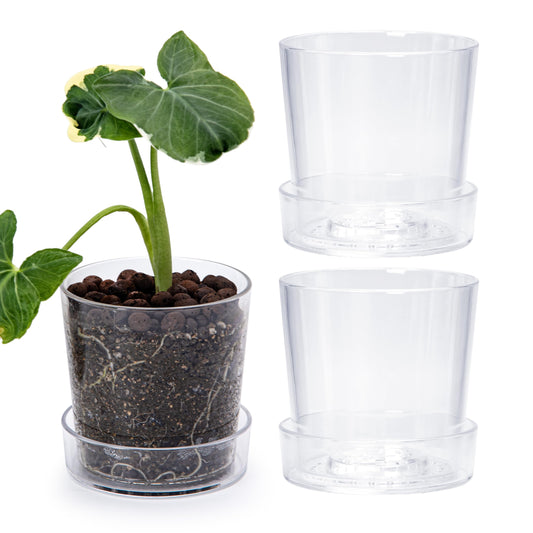 Phoenix Vine 4.5 Inch Clear Acrylic Planter Pot with Tray, Orchid Pot with Drainage Holes, Deep Saucer for Bottom Watering, Transparent Containers for Indoor Plants, Herbs, Set of 3, 91-A-E-3