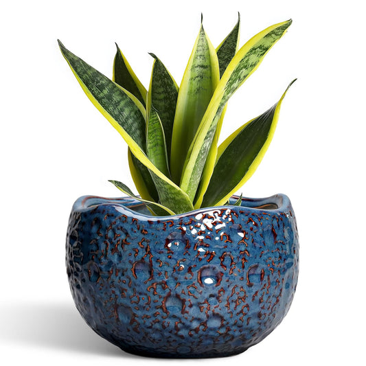 Thirtypot 8 Inch Plant Pot - Ceramic Planter for Indoor Outdoor Plants, Round Unique Plant Pots with Drainage Hole, Modern Decorative Flower Pots, Home Decor, Gifts for Plants Lovers, Retro Blue