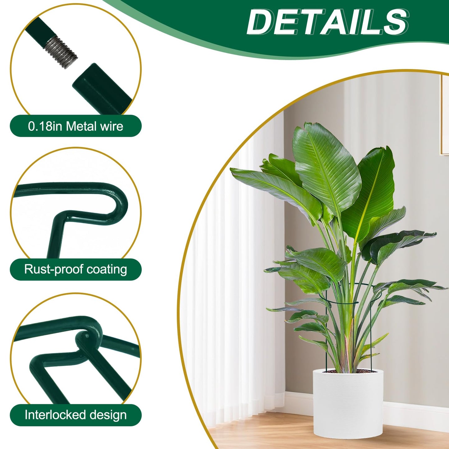 Tall Heavy-Duty 30in Plant Support Stakes - 8 Pack Adjustable Peony Cages & Supports for Outdoor Plants, Half-Round Garden Stakes for Hydrangea, Roses with Extension Stakes