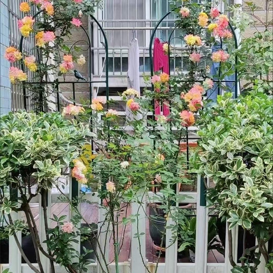 Garden Trellis, Metal Plant Supports, Freestanding Garden Trellis, Plant Climbing Frame, for Decor Flowers Roses Vine Ivy Clematis,Green,150x50 cm
