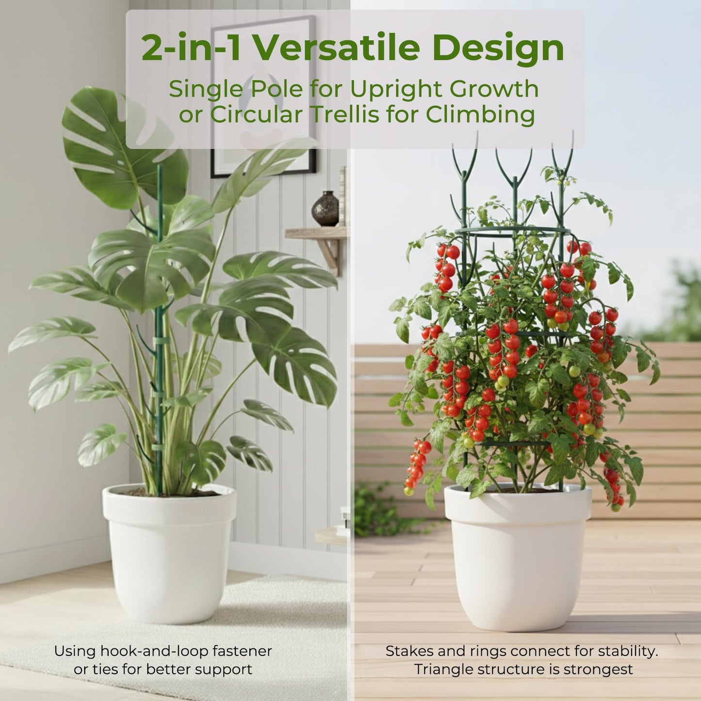 Monstera Plant Support Stakes Indoor - 20 Pack Stackable Garden Trellis for Potted Climbing Pothos Support - Durable All-in-One Tall Plant Sticks Pole for Modern Home Gardening (20 Pack)