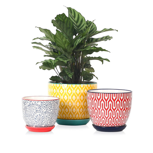 Selamica Ceramic Plant Pots, 4.6+5.6+6.5 Inch Planters with Drainage Holes & Saucer, Flower Pots for Indoor Plants, Home Decor, Set of 3, Assorted Colors