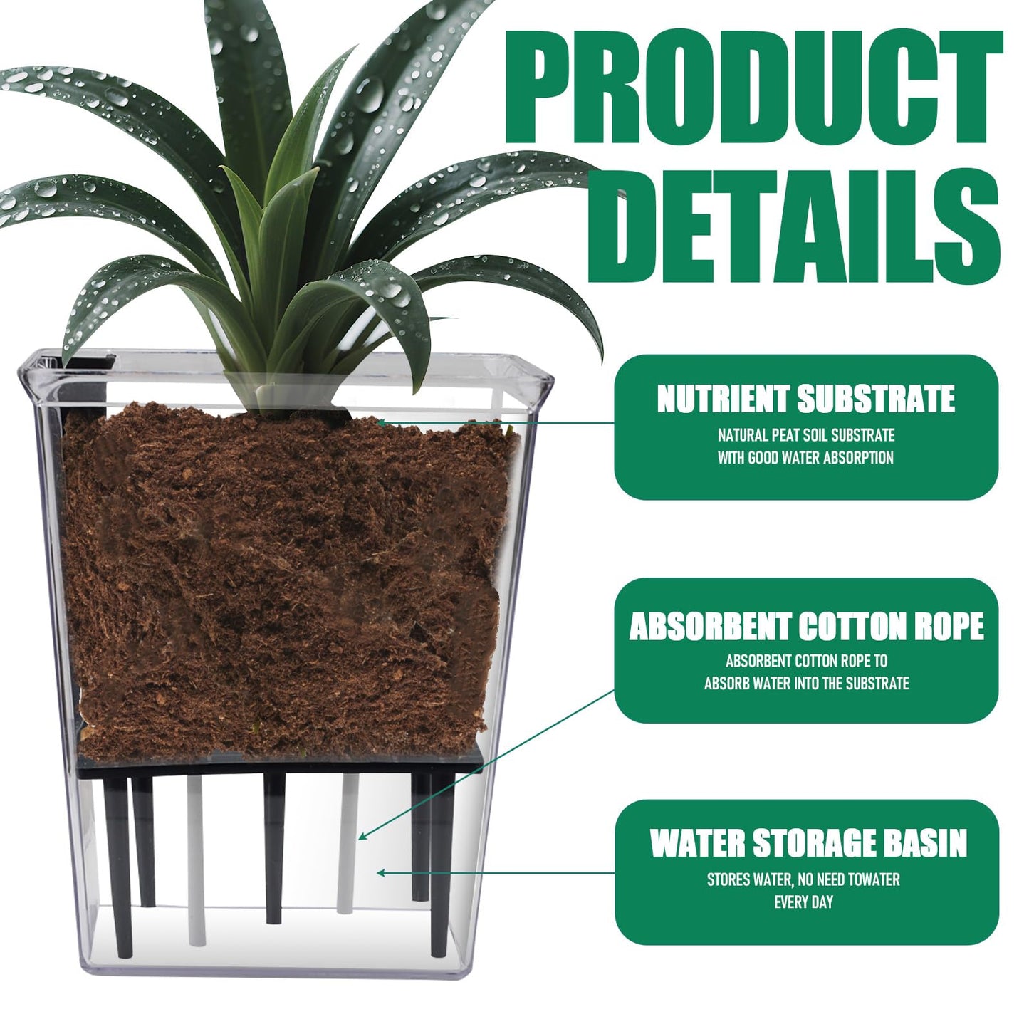 YITOBA 3 Sizes Clear Self Watering Pots Set, Small Flower Pots for Indoor Plants with Visible Reservoir and Wick Rope, Plastic Indoor Planter for Seedlings, Orchid African Violet (Clear)