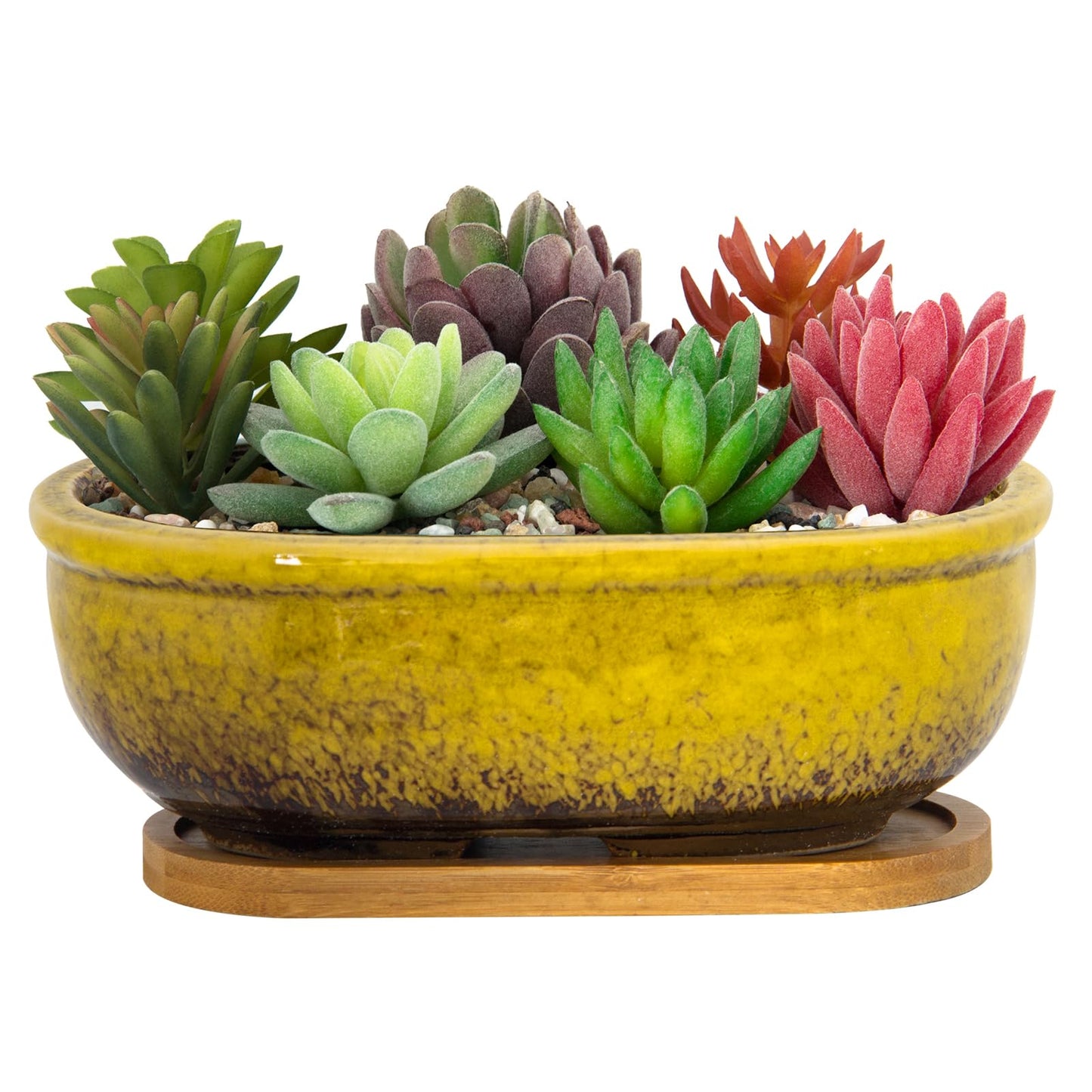 ARTKETTY Succulent Pots, 7.9 Inch Large Succulent Planters with Drainage Tray, Shallow Planters for Indoor Plants Ceramic Cactus Pots Glazed Bonsai Flower Plant Container for Home Windowsill Decor