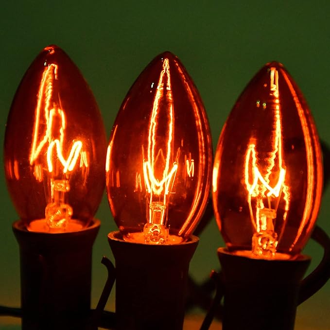 C9 Halloween String Lights, 25Ft Outdoor Orange String Light with 26 Clear Orange Bulbs(1 Spare), Halloween Lights for Indoor Outdoor Party Holiday Lighting Decor, Black Wire