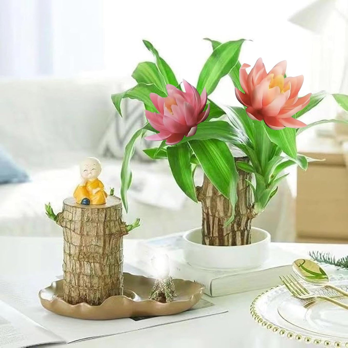 Brazilian Lucky Wood Kit with Monk, Grow Your Own Luck,Easy to Maintain Mini Brazil Woods for Indoor/Outdoor, Bedroom, Kitchen, Office Desk, Garden and Other Decorations (C)