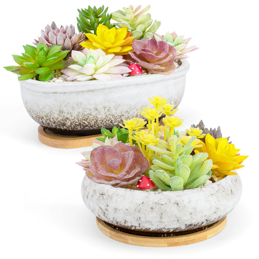 Succulent Pots, 1 Rectangle Planter + 1 Ceramic Bonsai Pot with Drain Tray, 2 Pack Large Shallow Succulent Planters for Indoor Plants, Round Cactus Flower Plant Pot for Desk Windowsill Decor
