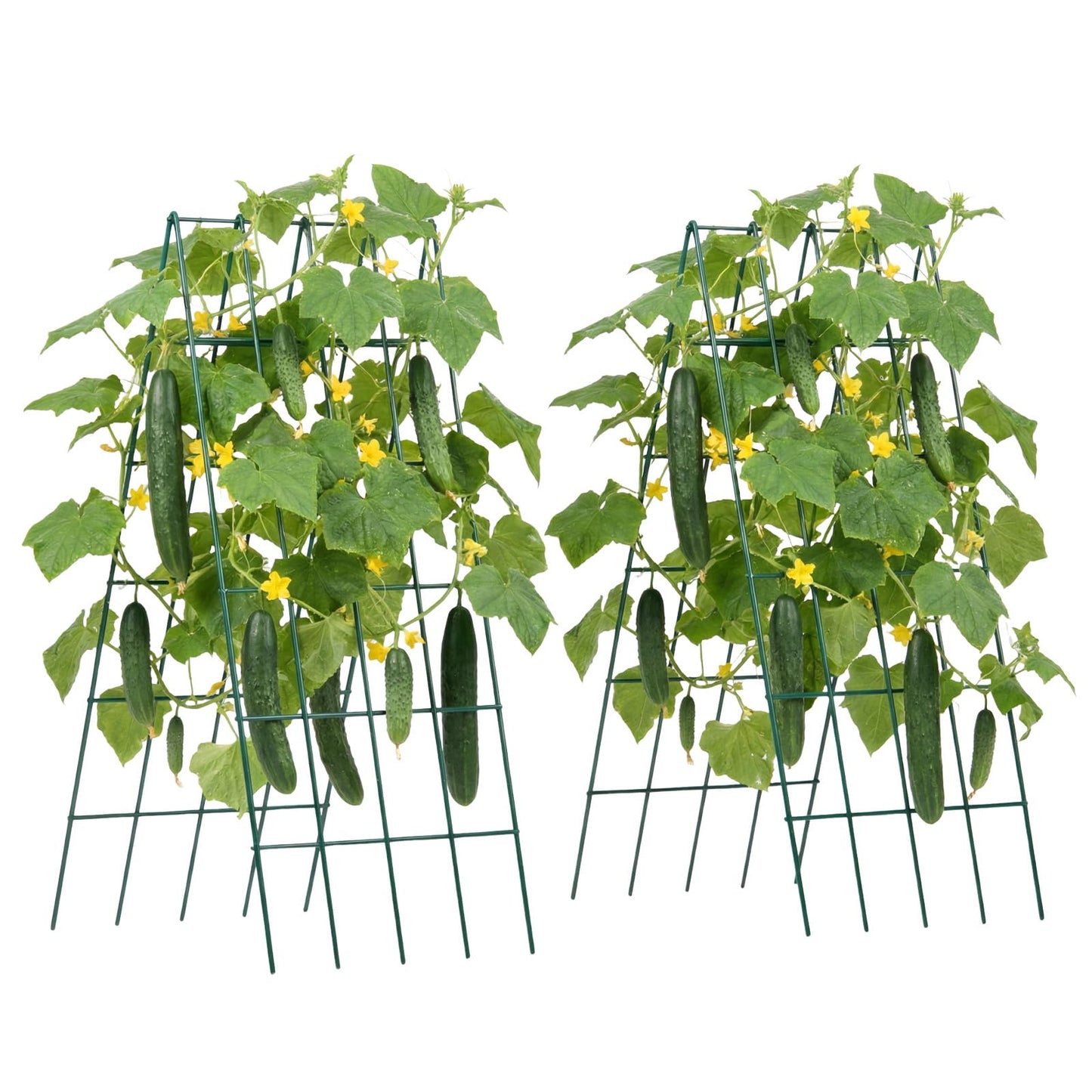 VEVOR Cucumber Trellis, No Assembly Required, 39" High 2 Pack Foldable A-Frame Garden Trellises for Raised Bed, Metal Rustproof Outdoor Climbing Plant Support for Vine, Peas, Beans, Tomato, Flowers