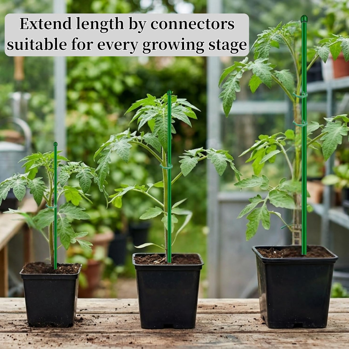 MAZUBOHOY 20Pack Plant Stakes, 16inch & 12inch Adjustable Plant Support Stake Garden Pole Sticks for Indoor/Outdoor Plants Monstera Tomato Orchid Comes with 20 Clips and Ties