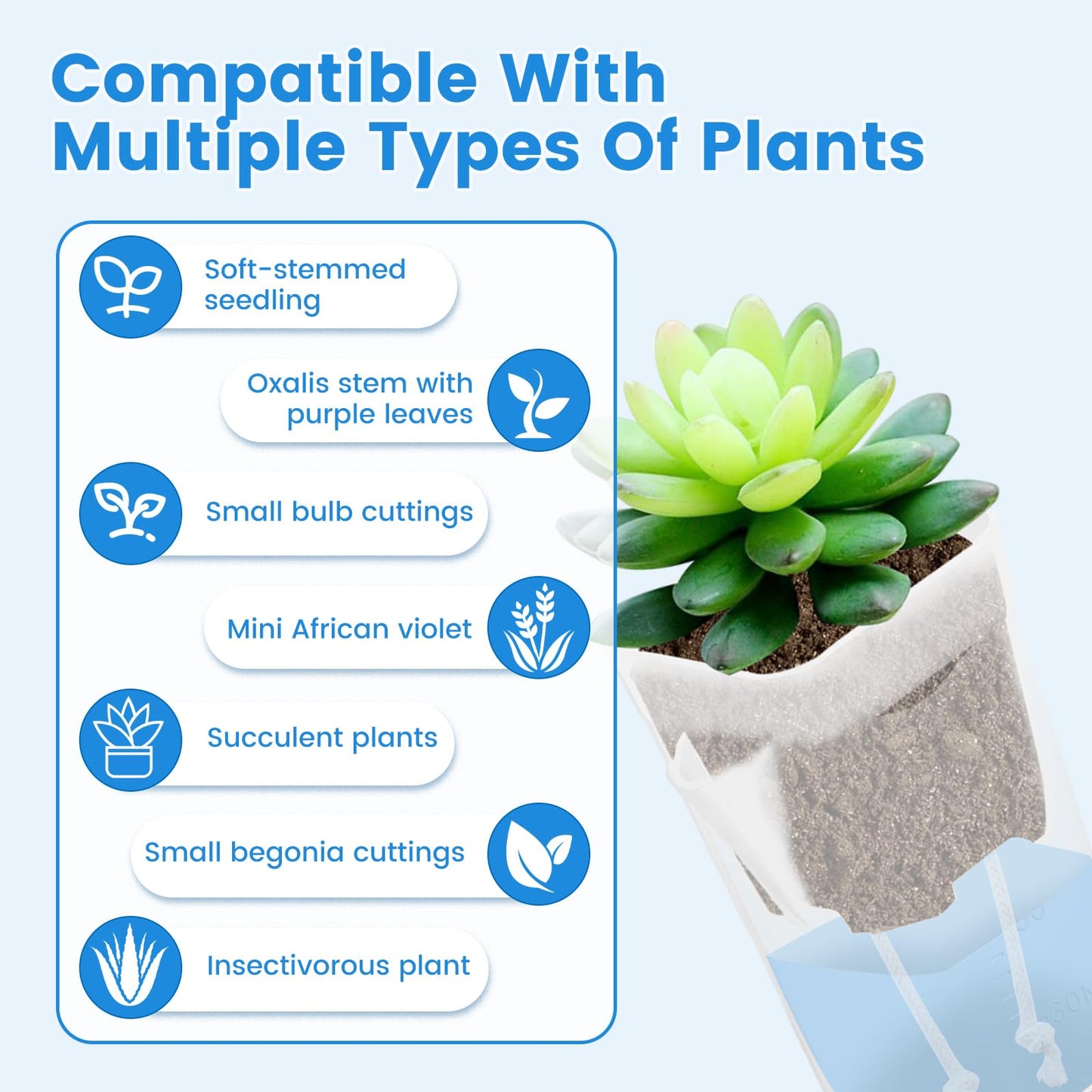 Fizocosisto 12Pcs Self Watering Pots with Transparent Reservoir,2/2.5Inch Plastic Flower Pots with Drainage Holes Indoor Plant Container for Herbs and House Plant(Transparent color-12-2 inches)