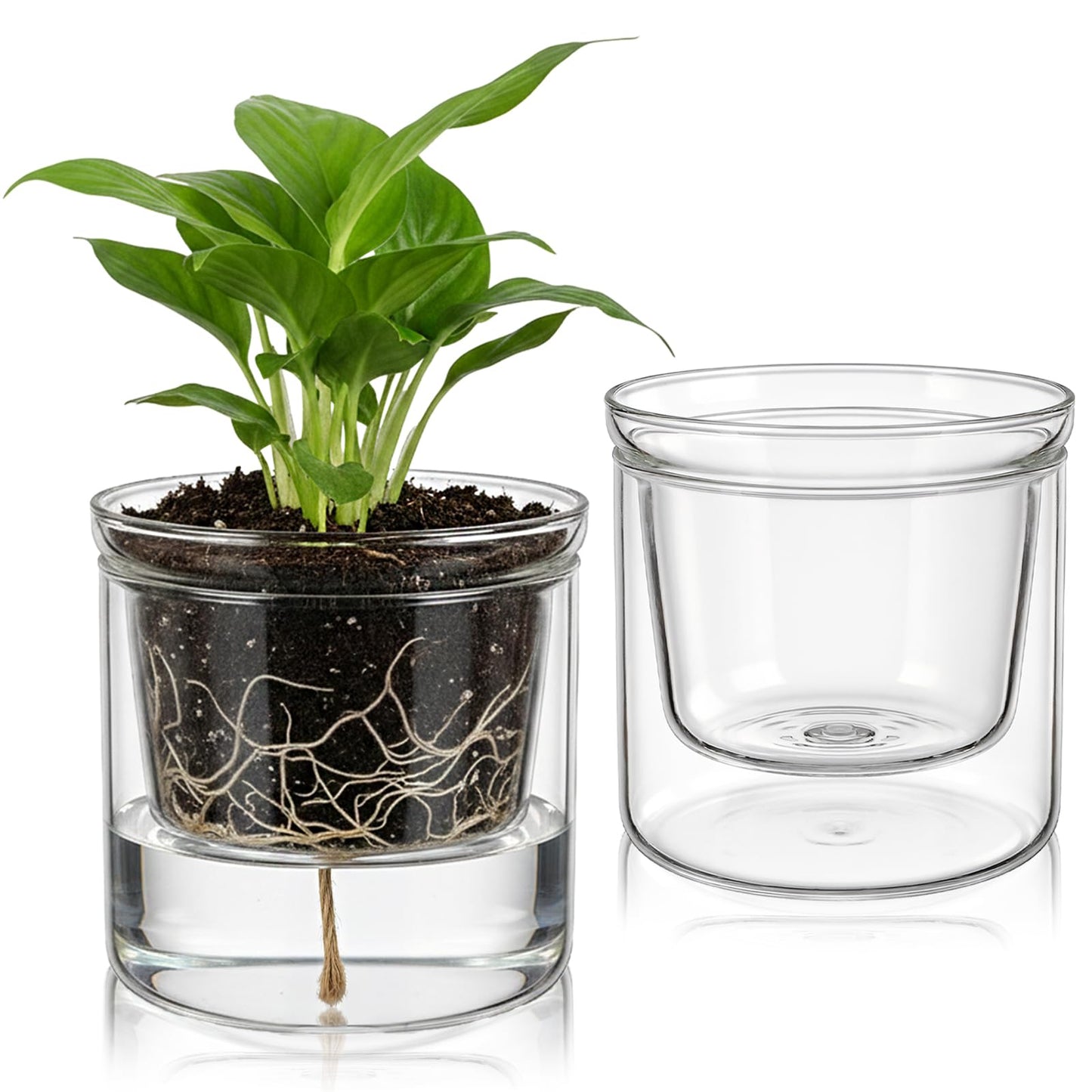 Tebery 2 Pcs Clear Plant Pots, 3.75 Inch Glass Nursery Pots with Drainage Saucer, Indoor Self Watering Planters for Houseplants African Violet Orchid Succulents, Ideal for Garden Home Decor