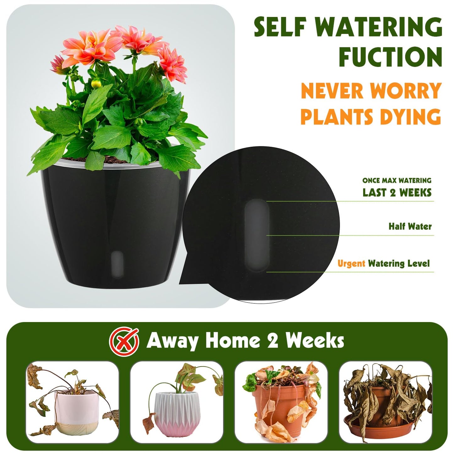 KvyusFlourish Self Watering Pots for Indoor Plants, 12-Pack 5'' Self Watering Planter with Drainage Holes, Small African Violet Pots with Water Level Indicator, Clear Wick Pot, Black