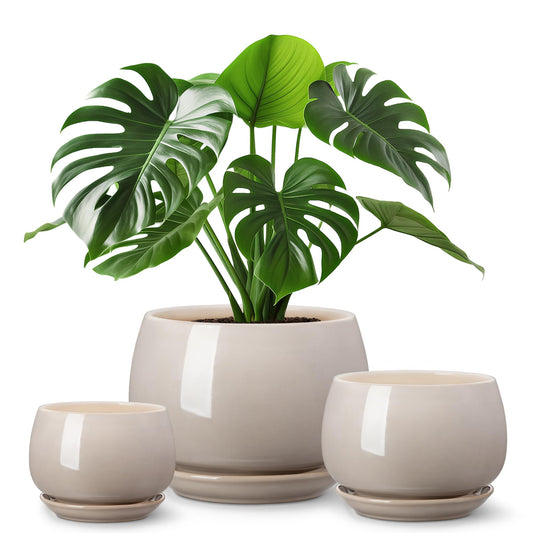 vancasso 3-Pack Ceramic Plant Pots, 3.7/4.8/6.2 Inch Indoor Planters with Saucers & Drainage Hole Planter pots for Indoor Plants and Flower, Gray