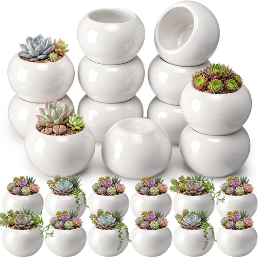 Acellegic 24 Pack 2.5 Inch Mini Succulent Plant Ceramic Pot with Drainage Hole, Small Pineapple Clay Garden Planter for Succulents, Cactus, DIY Easter Spring Craft Activity(White,Classic)