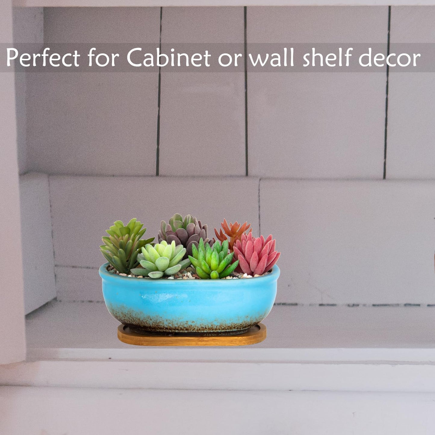 ARTKETTY Succulent Pots, 7.9 Inch Large Succulent Planters with Drainage Tray, Shallow Planters for Indoor Plants Ceramic Cactus Pots Glazed Bonsai Flower Plant Container for Home Windowsill Decor