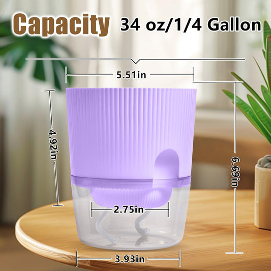 Eurysman 3 Pack - 5.5 Inch Self Watering Planter Pots for Indoor Plants - African Violet Pots with Wick Rope - Purple