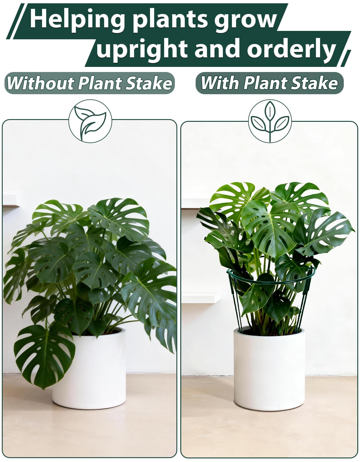 6 Pack Plant Support Stakes, Half Round Metal Peony Cages and Support, 10" W x 16" H Metal Sturdy Garden Plant Support Ring Cage for Potted Plant,Snake,Hydrangea,Monstera,Rose Bush