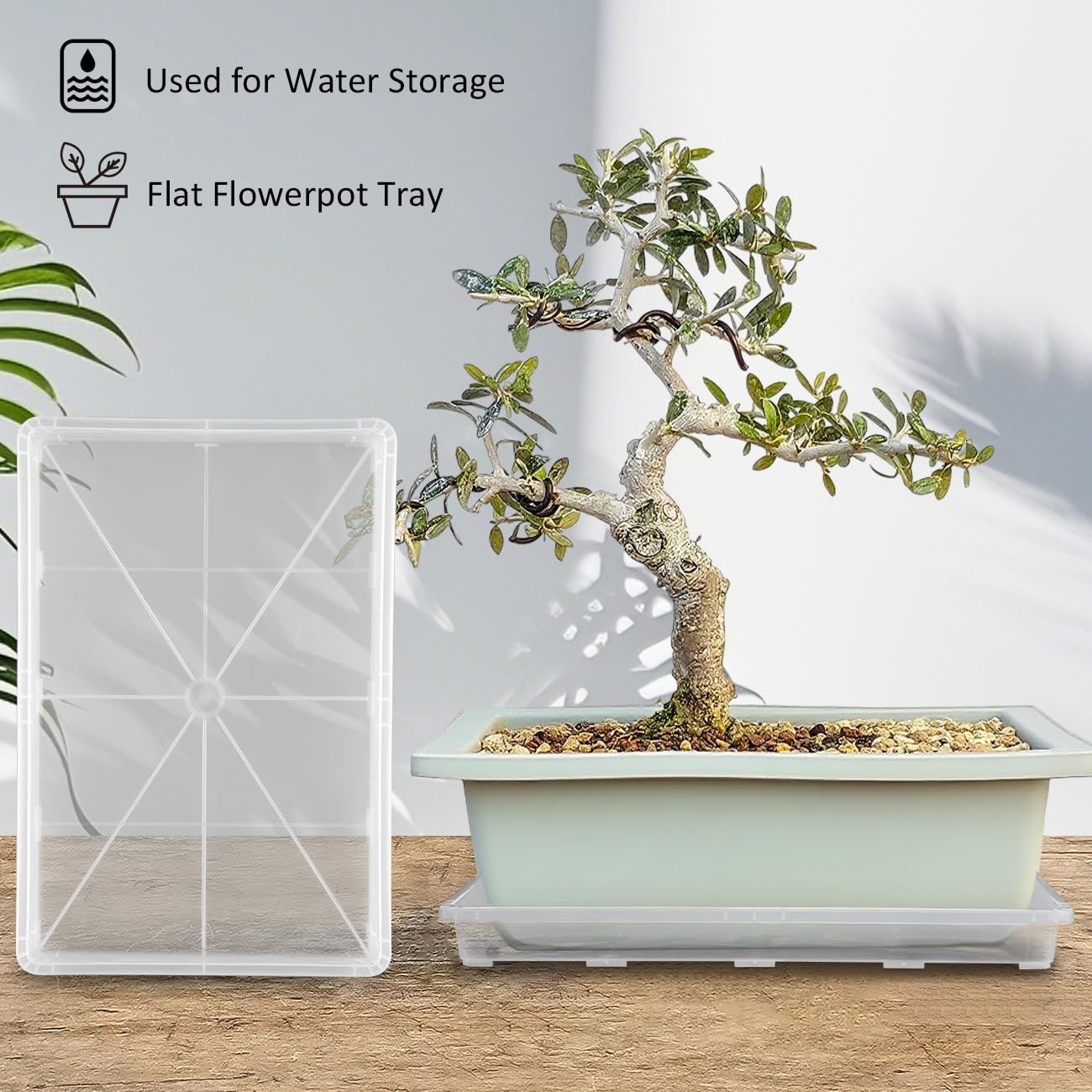 RooTrimmer Clear Seed Starter Trays 5 Pack(17"x11"x2"), Reusable Plastic Carrying Seedling & Nursery Trays, Durable Flat Pots Trays, Transparent Square Tray for Planting and Collecting Drainage Water
