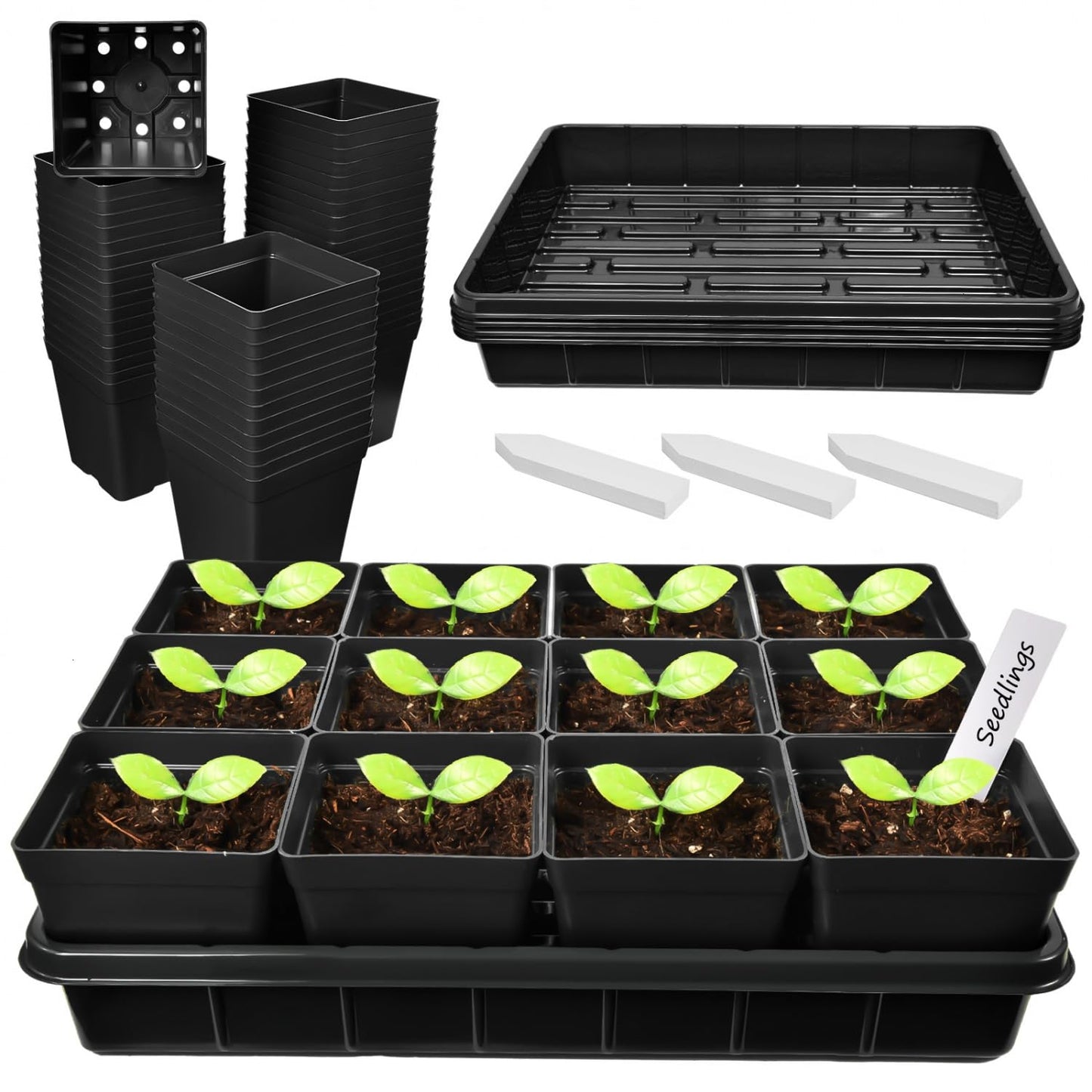 June Fox 60 Pcs Square Nursery Pots for Plants, 5 Pcs Seed Starter Tray Kit, 3.3 Inch Small Seedling Pots with Drain Holes, 60 Plant Labels (Black)